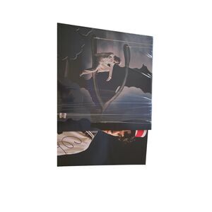 Conan Gray signed Vinyl Wishbone shooting star